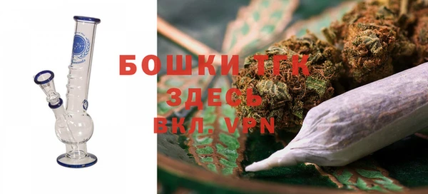 твердый Богородицк