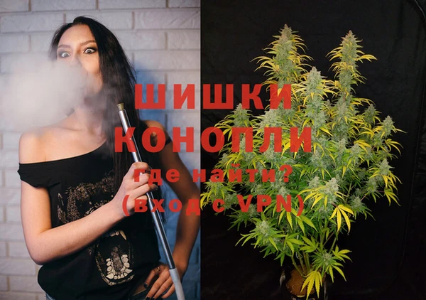 первитин Богданович