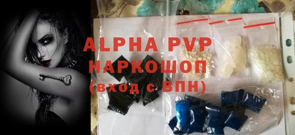 первитин Богданович