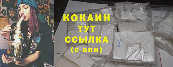 первитин Богданович