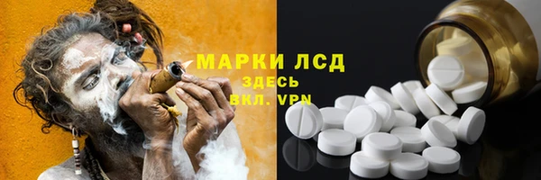 первитин Богданович