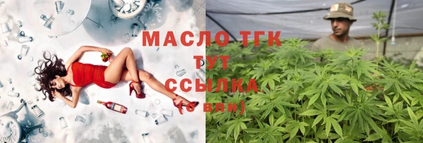 твердый Богородицк