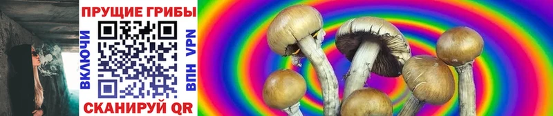 Галлюциногенные грибы Magic Shrooms  наркотики  Сланцы 